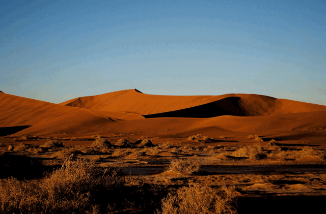 namibdesert3_copy