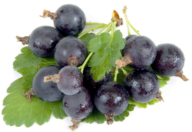 Snimek_obrazovky_2014-08-20_v_12.09.30