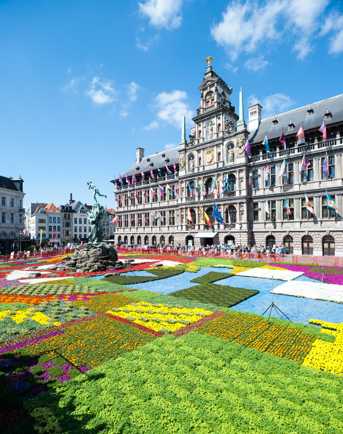 Belgie, Antverpy

Květiny zaplavily náměstí Grote Markt k oslavám 450. výročí antverpské radnice. 
