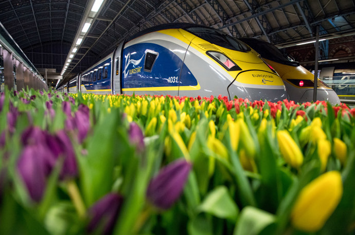 Velká Británie, Londýn

Tulipány pokryté nástupiště mezinárodního nádraží St. Pancras v Londýně k oslavám zavedení vlakového spoje Londýn - Amsterdam. 
