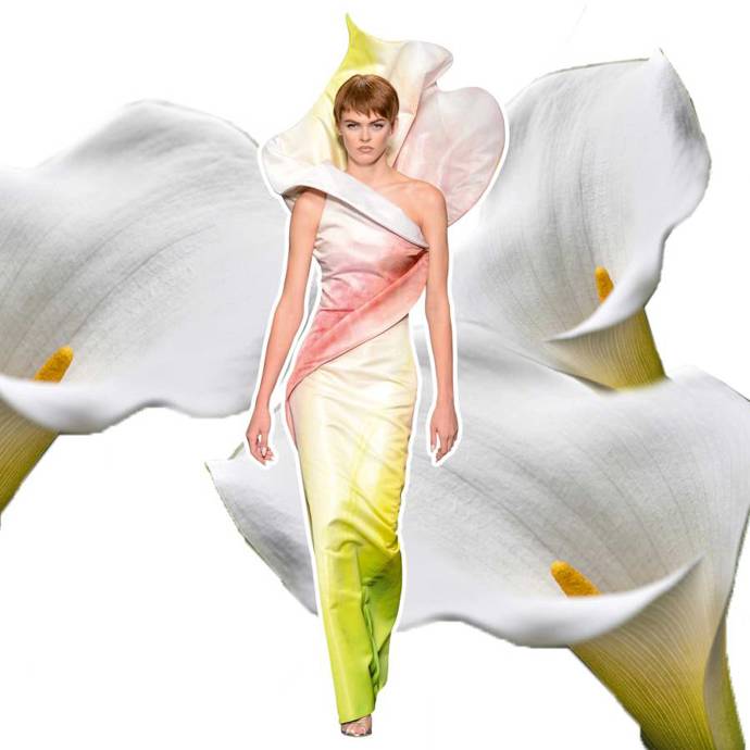 Moschino liliové šaty
Kdysi dávno u sebe ženy stále nosily květiny, protože osobní hygiena existovala veškerá žádná. Dnes už tento problém nemáme, to ovšem neznamená, že se nemůžete přeměnit v květinu v šatech od Moschino.
Moschino liliové šaty
Kdysi dávno u sebe ženy stále nosily květiny, protože osobní hygiena existovala veškerá žádná. Dnes už tento problém nemáme, to ovšem neznamená, že se nemůžete přeměnit v květinu v šatech od Moschino.
