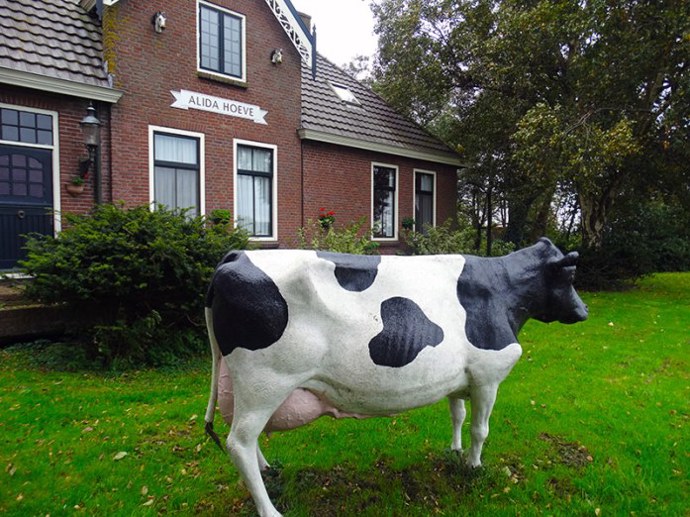 Sýrárna Alida Hoeve, předměstí Volendamu
A jestli těch sýrů ještě nemáte dost, pak se vám bude líbit na farmě Alida Hoeve, kde se vyrábí sýry s názvem Henri Willig podle stejnojmenného sýraře, který kromě známého Eidamu a Goudy z kravského mléka vyrábí taky kozí, ovčí a organický sýr podle vlastní receptury, jejž firma exportuje do 30 světových zemí.
Sýrárna Alida Hoeve, předměstí Volendamu
A jestli těch sýrů ještě nemáte dost, pak se vám bude líbit na farmě Alida Hoeve, kde se vyrábí sýry s názvem Henri Willig podle stejnojmenného sýraře, který kromě známého Eidamu a Goudy z kravského mléka vyrábí taky kozí, ovčí a organický sýr podle vlastní receptury, jejž firma exportuje do 30 světových zemí.