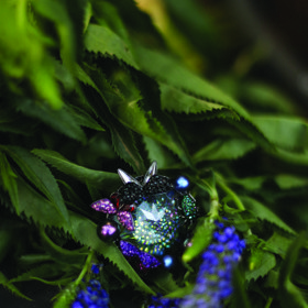 Nová kolekce Swarovski Crystal Tales