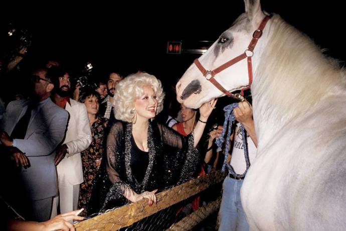 1978

Dolly Parton s koněm ve Studiu 54
