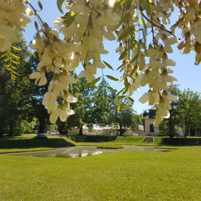 Čínský pavilon
Čínský pavilon