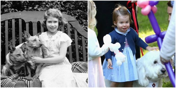 Královna Alžběta II. už jako malá milovala psy, proto není překvapením, že její pravnučka je na tom stejně. Takhle se Charlotte mazlila s pejskem minulý rok při návštěvě Kanady.
Královna Alžběta II. už jako malá milovala psy, proto není překvapením, že její pravnučka je na tom stejně. Takhle se Charlotte mazlila s pejskem minulý rok při návštěvě Kanady.