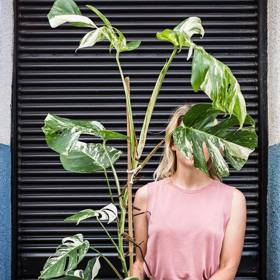 Galerie: Urban Jungle v Holešovicích Galerie: Urban Jungle v Holešovicích