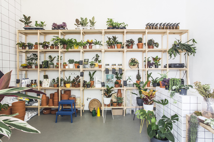 Galerie: Urban Jungle v Holešovicích Galerie: Urban Jungle v Holešovicích