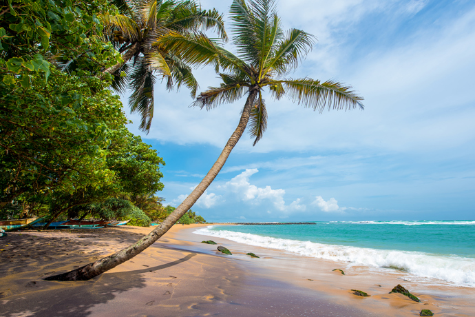 Srí Lanka

Zde najdete poměrně nedotčenou přírodu, úžasný relax, eco resorty a palmami lemované pobřeží. Tri Lanka je hotel s ideou udržitelnosti, který leží u jezera Koggala. Můžete si zde zajít do lázní, dát si jógu a zkrátka jen relaxovat. Na Srí Lanku se vydejte nejlépe od prosince do dubna.
