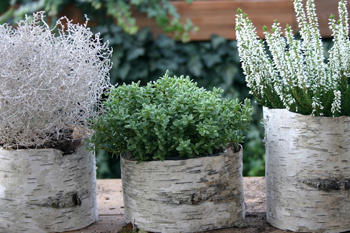 Tohle DIY je opravdu rychlovka: když najdete ten správný kus kůry, máte půl práce už hotovo!
