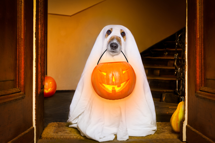 Vymyslete si halloweenský kostým. Že se na žádnou party nechystáte? Uspořádejte jednu doma pro své přátele!
