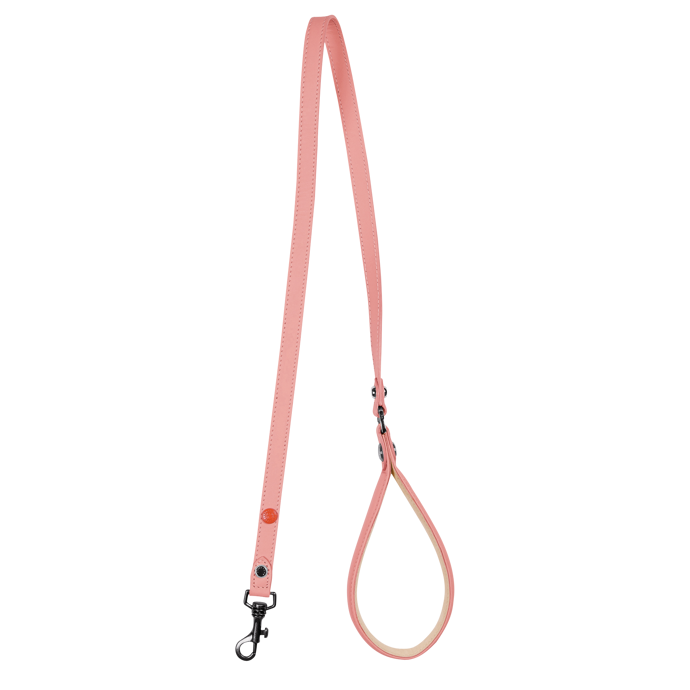 LONGCHAMP x Clo'e Floriat