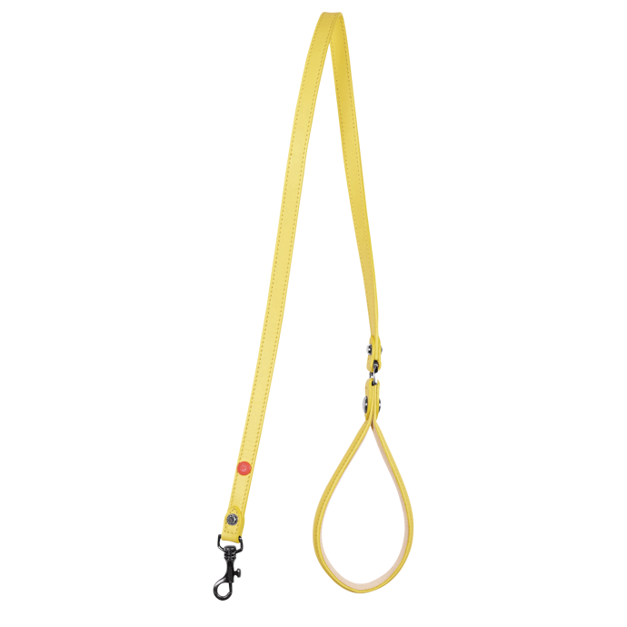 LONGCHAMP x Clo'e Floriat