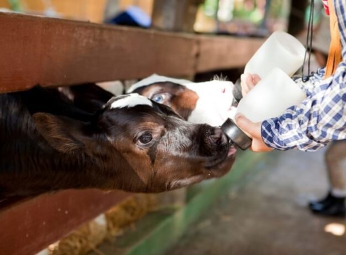 Na den farmářem, Impressio 1399 Kč
Na den farmářem, Impressio 1399 Kč