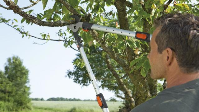 Některé nůžky jsou vhodné na suché, tvrdé větve, jiné zase na ty pružné, živé. Nůžky mají také různé mechanismy, a proto je potřeba dobře vybírat.
