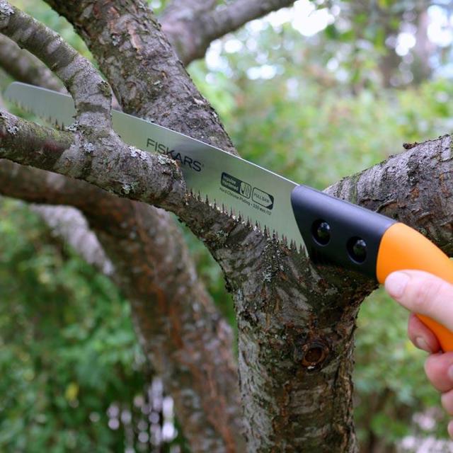 Se silnějšími větvemi si lépe než nůžky poradí dobře naostřená ruční pilka. Nestříhejte větve tlustší, než 5-7 cm, aby si strom mohl rány zahojit.
