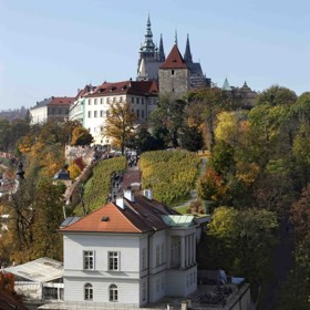 Už jste navštívili impozantní pražskou Villu Richter s přilehlou Svatováclavskou vinicí? Ideální příležitost máte 1. května! Chystá se zde ochutnávka s úžasným výhledem na starou Prahu, která tradičně odstartuje růžovou sezónu a vy můžete první máj přivítat sklenkou moravského nebo českého růžového vína. Čeká vás 160 vzorků růžových vín z Moravy nebo z Čech, které představí přes 30 vinařů. Svátek růžových vín proběhne 1. května od 10 do 18 hodin, za vzorky vín se platí pomocí nabíjecích digitálních náramků, které budou k dostání při vstupu.
Už jste navštívili impozantní pražskou Villu Richter s přilehlou Svatováclavskou vinicí? Ideální příležitost máte 1. května! Chystá se zde ochutnávka s úžasným výhledem na starou Prahu, která tradičně odstartuje růžovou sezónu a vy můžete první máj přivítat sklenkou moravského nebo českého růžového vína. Čeká vás 160 vzorků růžových vín z Moravy nebo z Čech, které představí přes 30 vinařů. Svátek růžových vín proběhne 1. května od 10 do 18 hodin, za vzorky vín se platí pomocí nabíjecích digitálních náramků, které budou k dostání při vstupu.