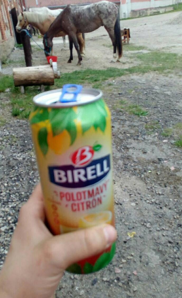 S Birellem v práci 