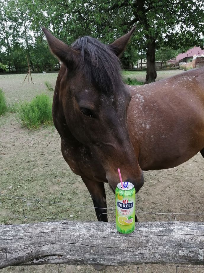 Při zážitku s Birellem