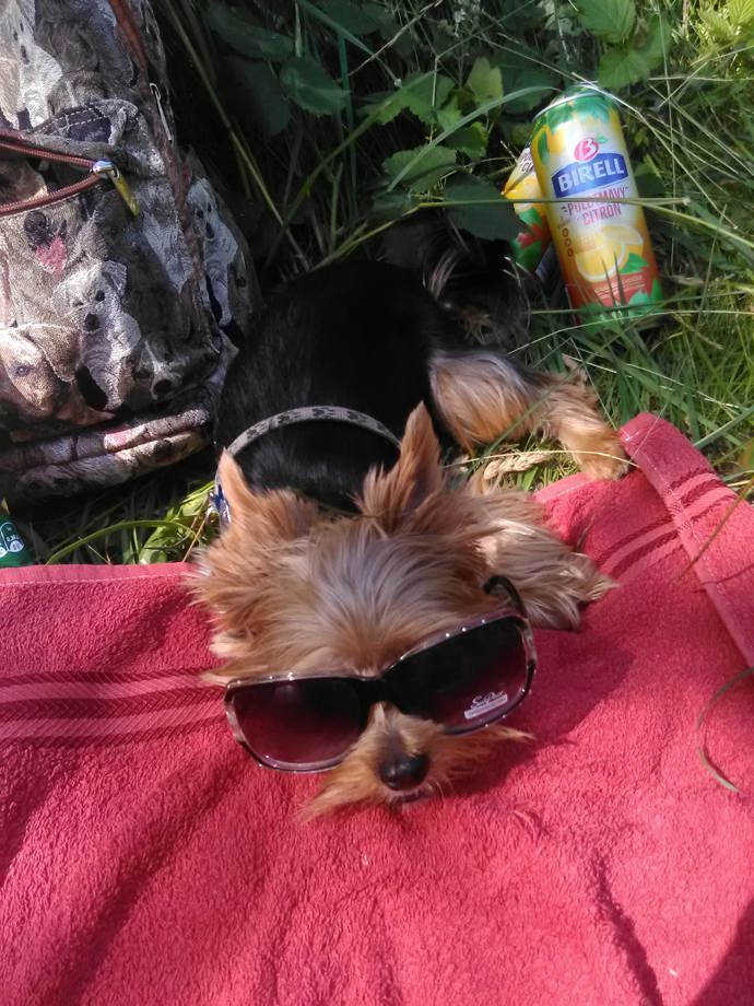 Při zážitku s Birellem