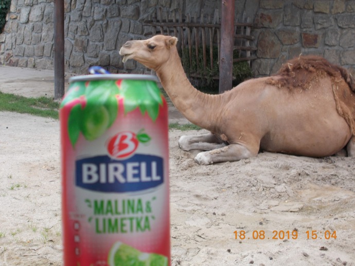 Relax s Birellem Relax s Birellem