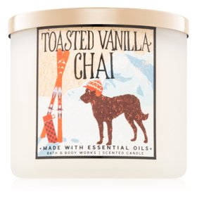 Bath & Body Works

Bath & Body Works – to je láska na první přivonění. Svíčka s názvem Toasted Vanilla Chai  je letošní favorit naší online editorky Káji. Svíčka provoní domov nádhernou vůní hřebíčku, muškátového oříšku, skořice a zázvoru. Kdyby se Káji někdo zeptal, jak voní podzim, odpověděla by, že přesně jako tato svíčka.

Zakoupíte na www.notino.cz
