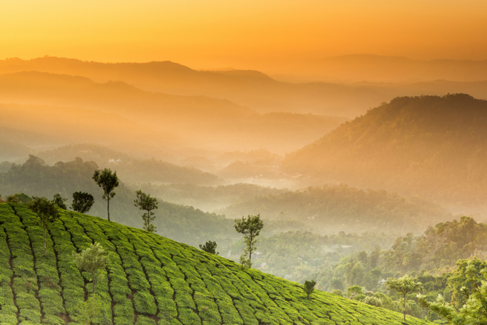 18. Kerala, Indie
95% meziroční nárůst
Pro mnoho cestovatelů je Kerala nejkrásnějším státem Indie. Kerala je lemována palmovým pobřežím, kávovými plantážemi a krásným výhledem na Arabské moře. Jde o hotovou oázu v rušné a hektické zemi, kterou Indie bezpochyby je.
18. Kerala, Indie
95% meziroční nárůst
Pro mnoho cestovatelů je Kerala nejkrásnějším státem Indie. Kerala je lemována palmovým pobřežím, kávovými plantážemi a krásným výhledem na Arabské moře. Jde o hotovou oázu v rušné a hektické zemi, kterou Indie bezpochyby je.