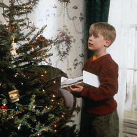 Sám doma
Tenhle film nás provází už od dětství a kdo si tehdy taky trochu nepředstavoval, že by na něj rodiče zapomněli a měl celý dům sám pro sebe...? „Mám pocit, že jsme doma nechali něco důležitého,“ sdělí paní McCallisterová manželovi na palubě letadla směřujícího přes Atlantik do Paříže. To ještě netuší, že to co doma zapomněli je nejmladší člen jejich početné rodiny, Kevin. Tak začíná nejúspěšnější film roku 1990, vánoční komedie o zapomenutém synkovi a dvou nešikovných lupičích. Kevin vůbec nepropadne panice, právě naopak. Konečně může dělat všechno to, co jinak nemůže.
Sám doma
Tenhle film nás provází už od dětství a kdo si tehdy taky trochu nepředstavoval, že by na něj rodiče zapomněli a měl celý dům sám pro sebe...? „Mám pocit, že jsme doma nechali něco důležitého,“ sdělí paní McCallisterová manželovi na palubě letadla směřujícího přes Atlantik do Paříže. To ještě netuší, že to co doma zapomněli je nejmladší člen jejich početné rodiny, Kevin. Tak začíná nejúspěšnější film roku 1990, vánoční komedie o zapomenutém synkovi a dvou nešikovných lupičích. Kevin vůbec nepropadne panice, právě naopak. Konečně může dělat všechno to, co jinak nemůže.