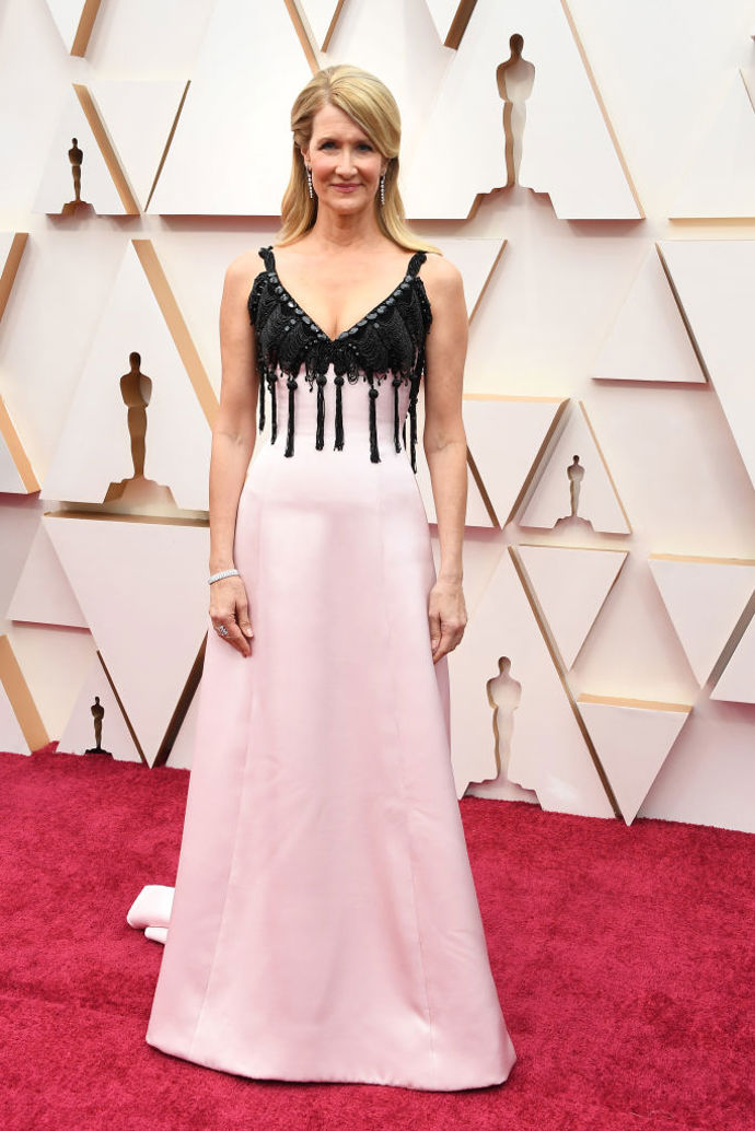 Laura Dern v šatech Armani
