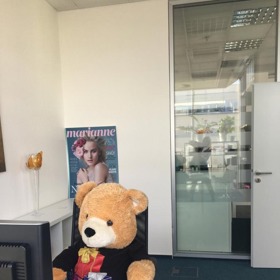 Pracovní prostředí panu Medvědovi zcela vyhovuje. 
