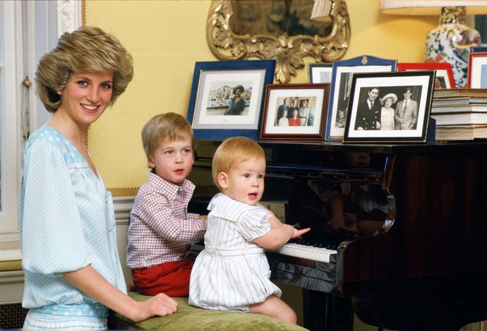 Na snímku z roku 1985 je princezna Diana s Williamem a Harrym.
