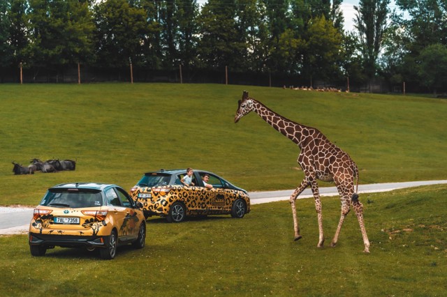 Safari Park Dvůr Králové