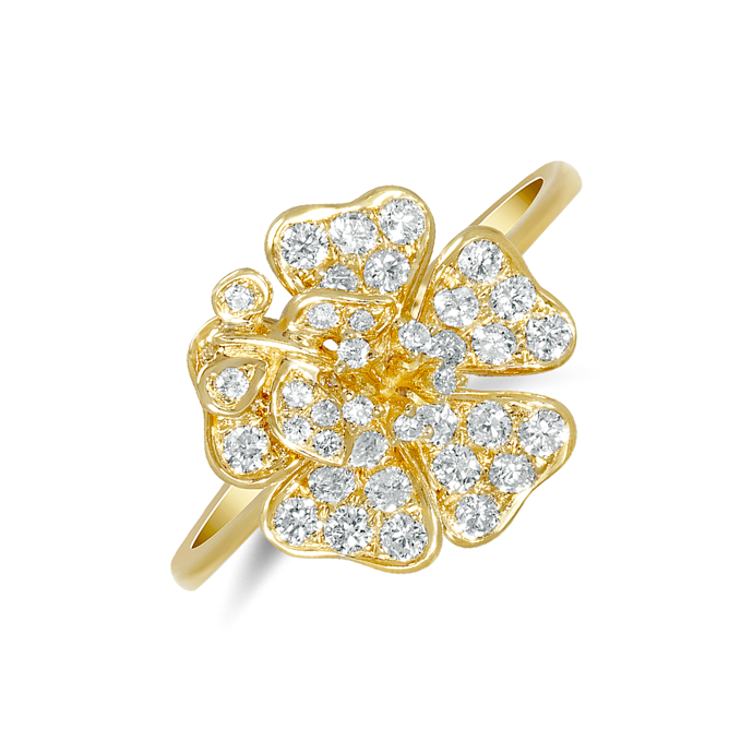ALO diamonds, 109 411 Kč
ALO diamonds, 109 411 Kč