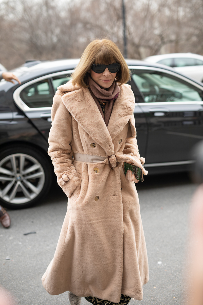 Anna Wintour v New Yorku
Anna Wintour v New Yorku