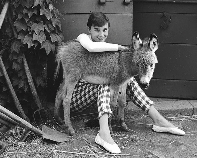 Audrey Hepburn