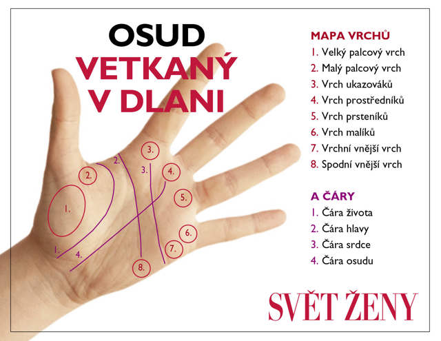 Čtení z dlaně