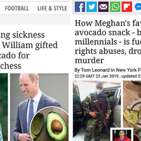 Válka o avokádo

Do křížku s médii se vévodkyně Meghan dostala také proto, že si dopřává avokádový toast. Říkáte si, v čem je problém? Deník Express tvrdí, že pěstování avokáda poškozuje lidská práva a vede k devastaci přírody. Co naplat, že v minulosti nevadilo, když William přinesl Kate avokádo, které jí mělo pomoci od ranních nevolností.
