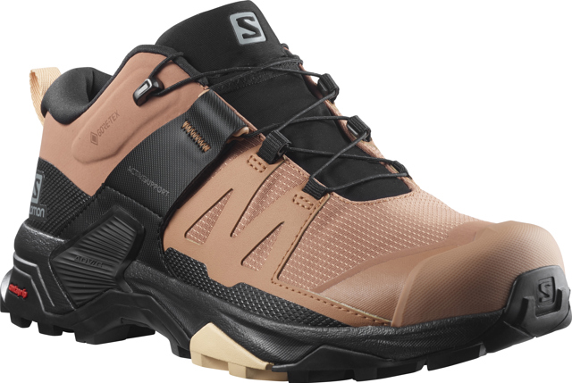 Salamon