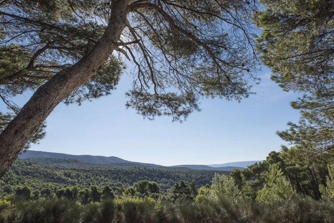 Galerie: Prázdninový dům v Provence