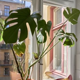 Galerie: Švédský mini byt Galerie: Švédský mini byt