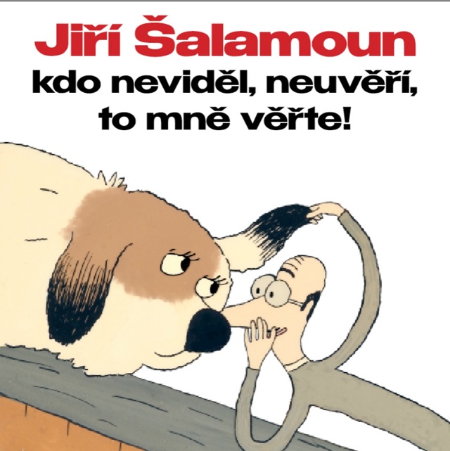 Jiří Šalamoun