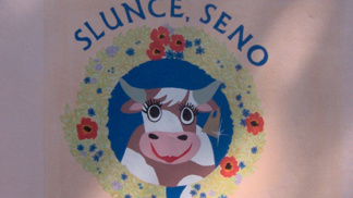 Zajímavosti ze Slunce, seno: Miluna i Blažena nebyly plnoleté, Káju Kroupu hrál číšník a Martina Dejdara málem zatkli! 