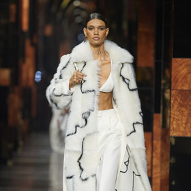 Ilustrace u Fendi