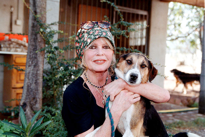 Nezapomenutelné fotografie Brigitte Bardot Nezapomenutelné fotografie Brigitte Bardot