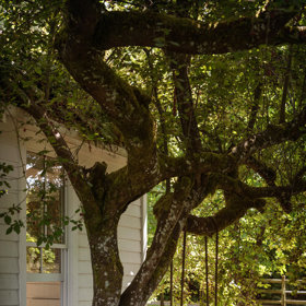 Galerie: Tiny house od jhinteriordesign Galerie: Tiny house od jhinteriordesign