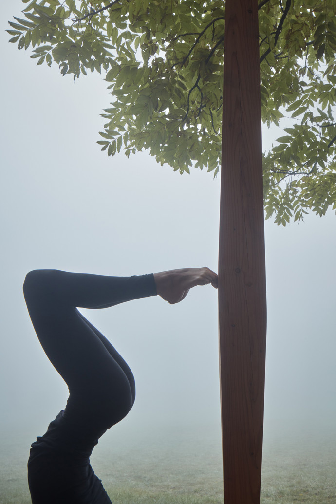 Galerie: Yogapointy v přírodě Galerie: Yogapointy v přírodě