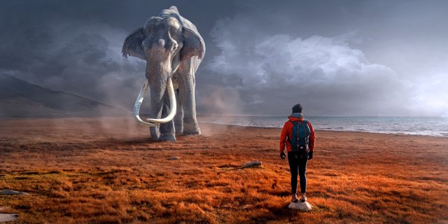 Dream