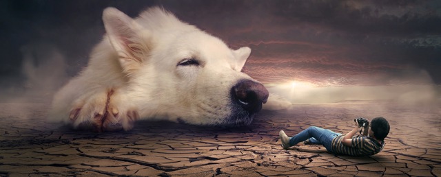 Dream