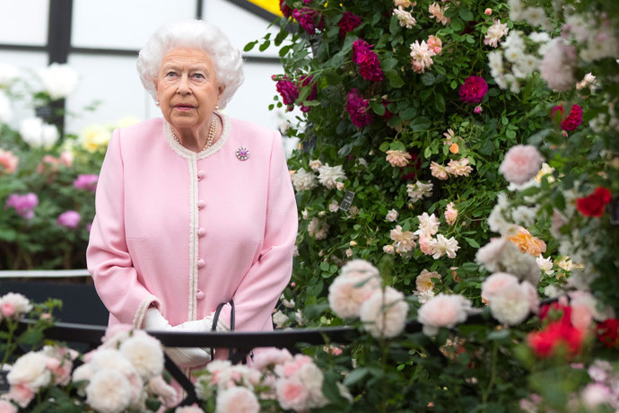 Na výstavu růží na Chelsea Flower Show v Londýně. 
