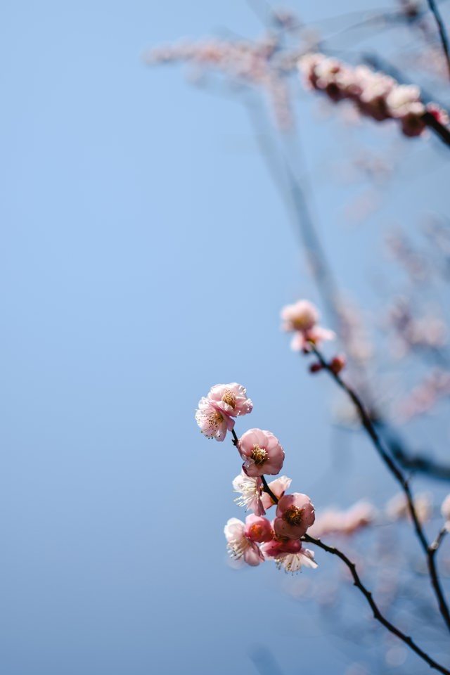 Spring